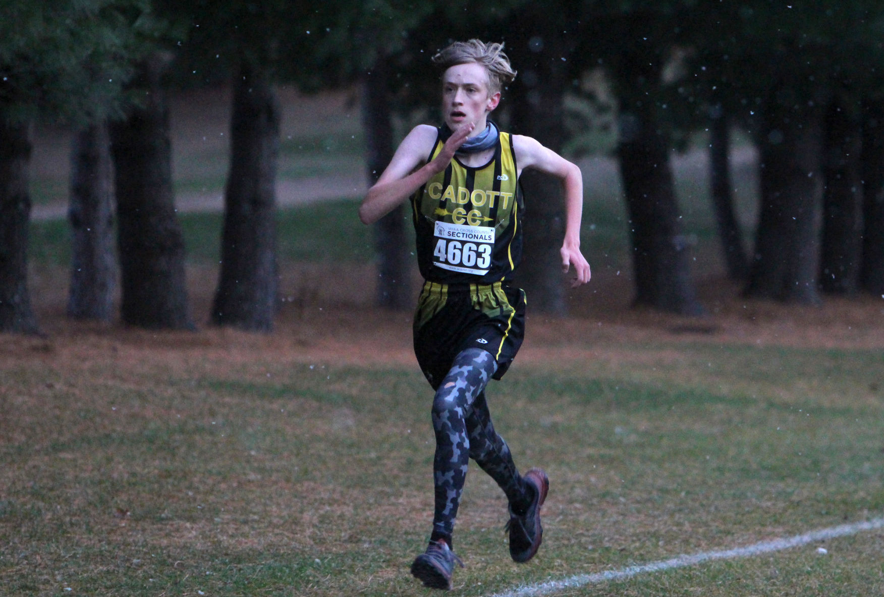 Division 3 Cross Country Sub-Sectional at Colfax 10-19-20